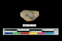 藏品(水晶)的圖片